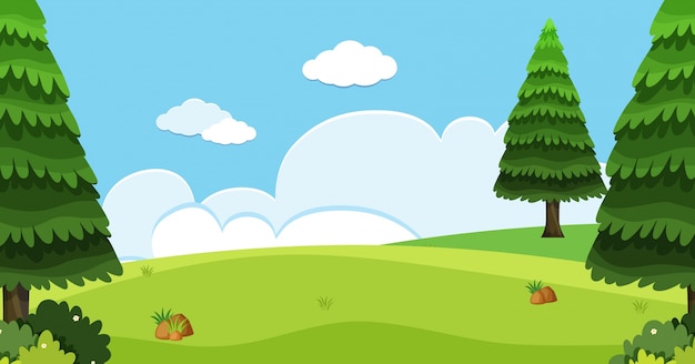 background scene with pine trees in field
