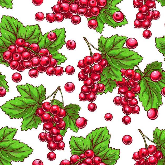 Beautiful seamless background with sprigs of red currants