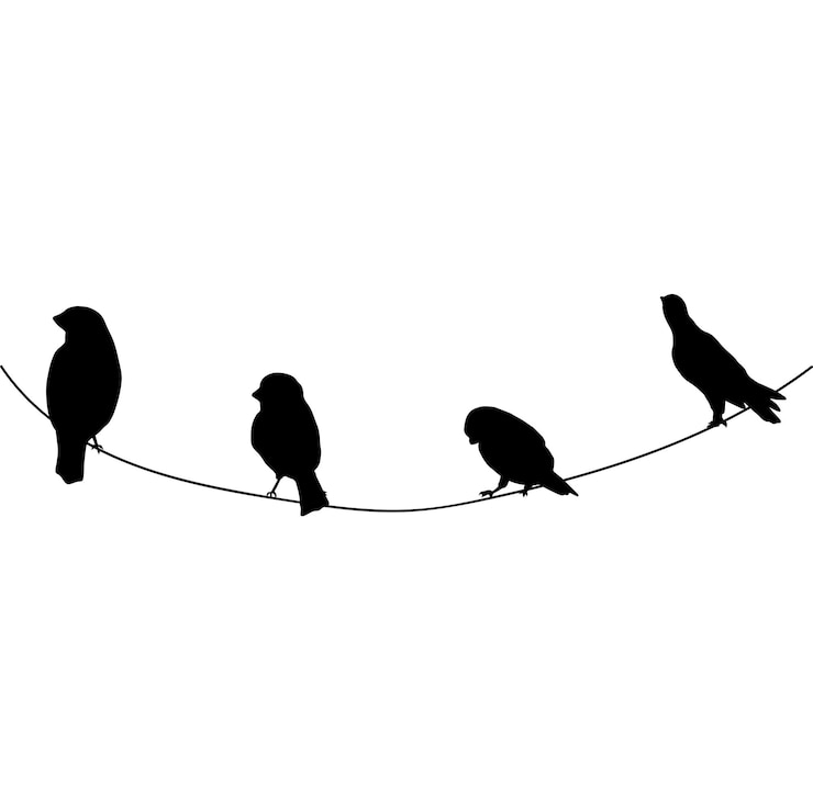 Vektor birds silhouette with rope illustrations decoration