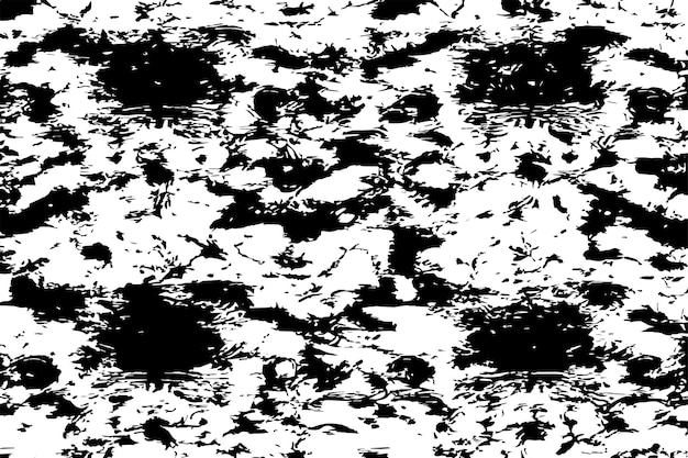 black and white texture vector image