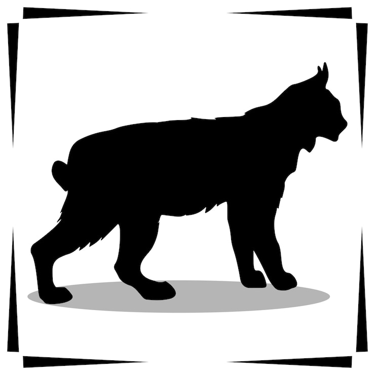 Vektor bobcat silhouette illustrations bobcat silhouette icons bobcat vector illustration