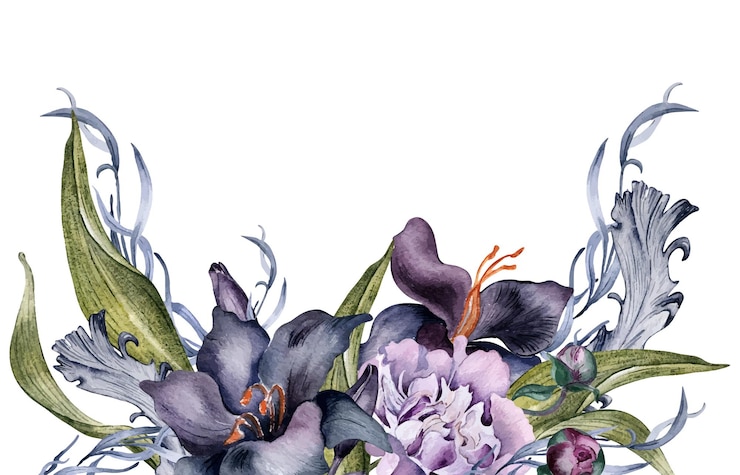 Vektor border of watercolor black flowers and feathers isolated on white gothic floral illustration hand drawn botanical art with dark lily peony leaves wedding decoration invitation backdrop card