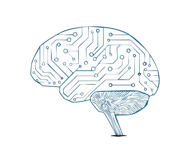 brain with interconnected circuits