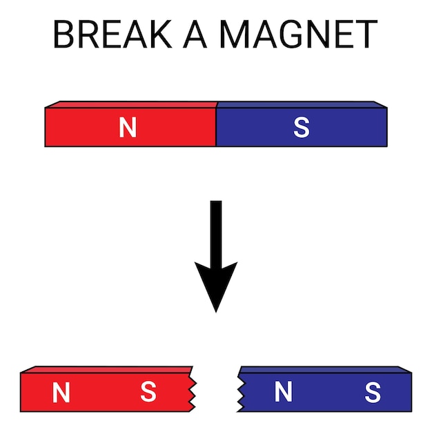 break a magnet in half. magnetism. suitable for educational products. physics.and science.