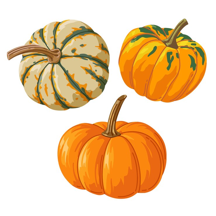 Vektor bright set of realistic different pumpkins for printing and design vector illustration
