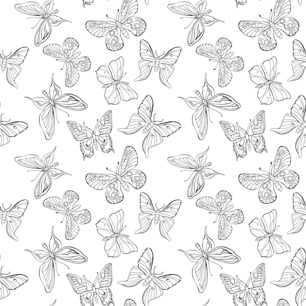 Butterfly pattern graphic black white isolated doodle