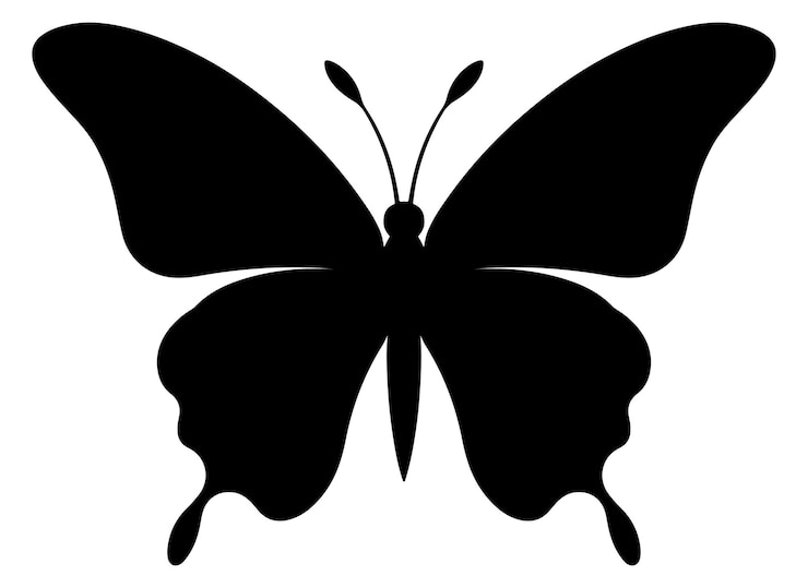 Vektor butterfly silhouette silhouette of butterfly