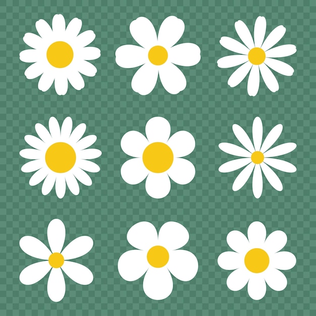 Camomile vector icon set Daisy flowers icons isolated