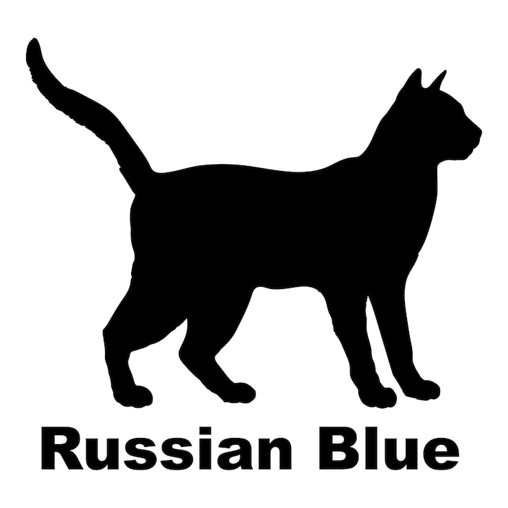 Vektor cat silhouette breeds cat logo monogram vector