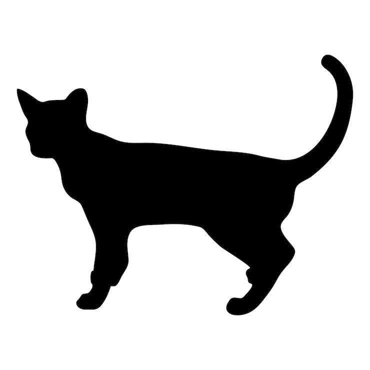 Vektor cat silhouette cat vector cat illustrator on a white background