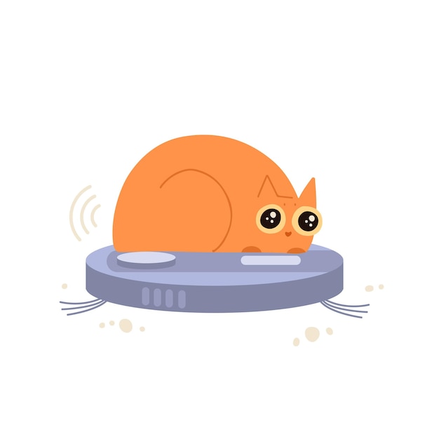 cat sitting on robotic vacuum cleaner fluffy kitten driving or riding automatic cleaner funny concep...