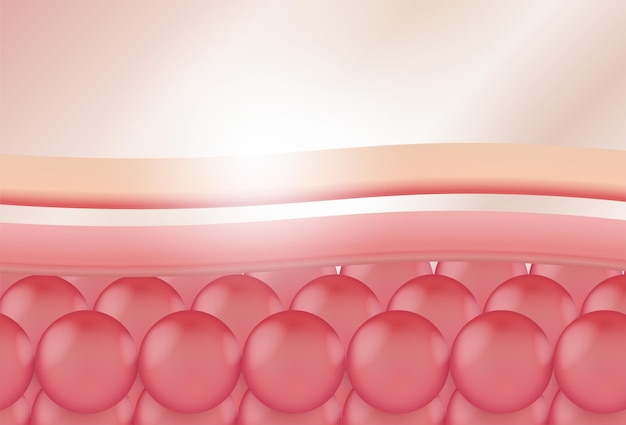Cell surface layer in the extension ratio To use the advertisement Cosmetics business