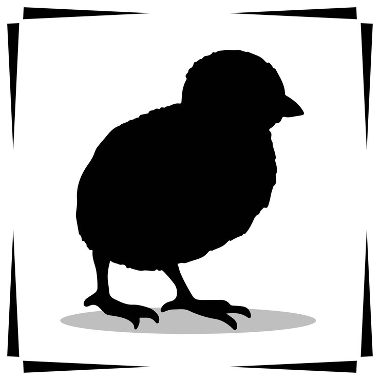 Vektor chick silhouette illustration chick silhouette icon