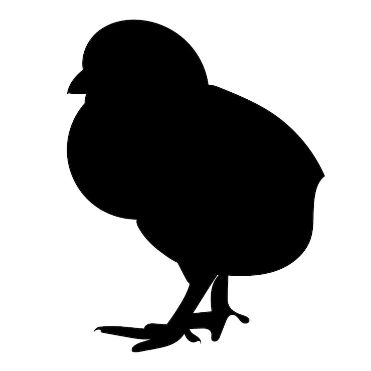 Vektor chicken silhouette, on a white background, vector, isolated
