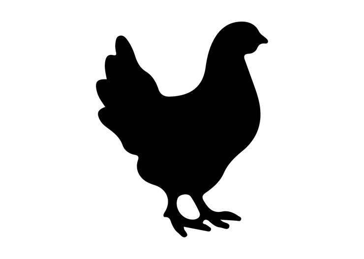 Vektor chicken vector silhouette of hen chicken vector illustrationchicken vector silhouette of hen chicken