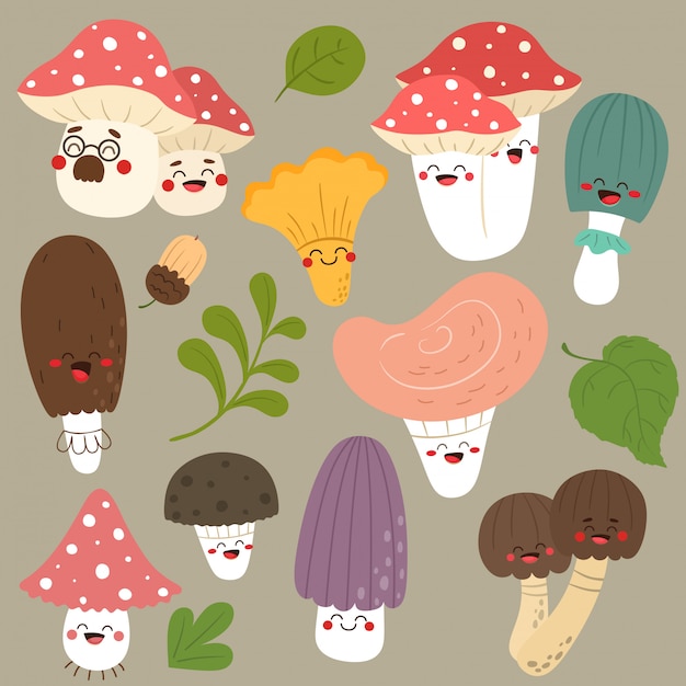 collection of funny mushrooms.