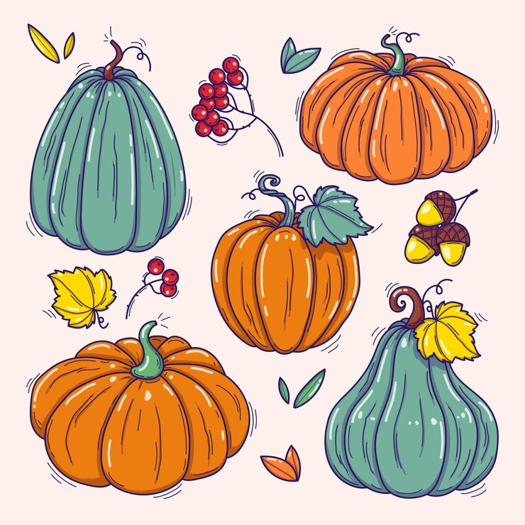 Vektor collection of hand drawn colorful pumpkins vector illustrations plants doodles perfect for recipes menu label icon packaging vintage pumpkins outlines botanical set