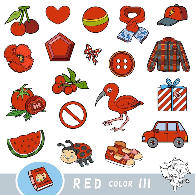 colorful set of red color objects visual dictionary for children about the basic colors