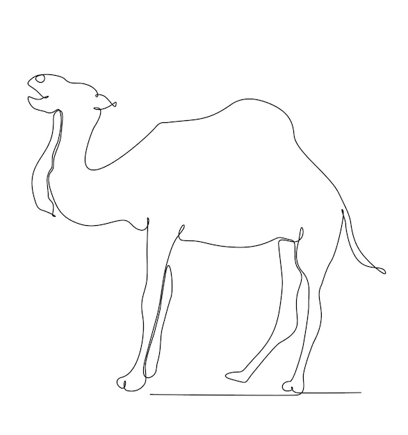 continuous line drawing of camel