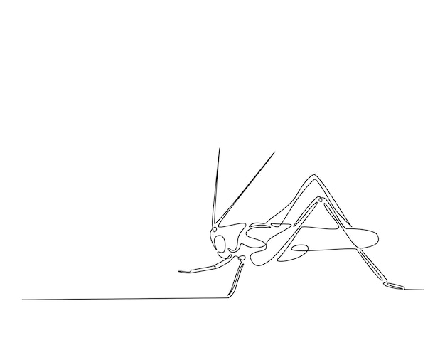 Continuous one line drawing of grasshopper locust