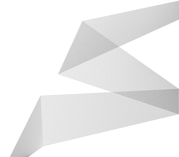 design element many parallel lines poligonal from02