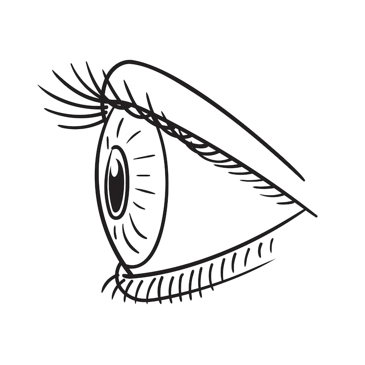 Vektor doodle vector illustration of a side view eye in cartoon style