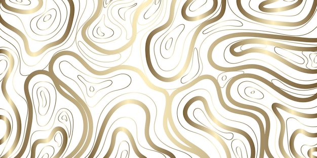 Fluid Golden Topography Modern Abstract Wave Lines