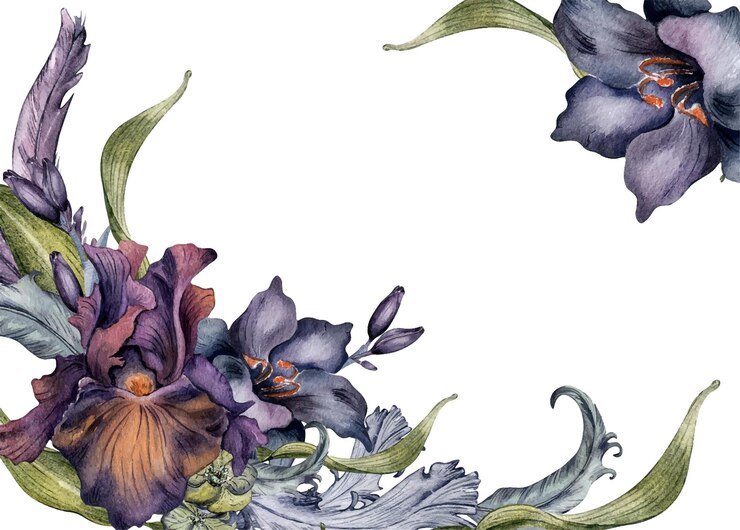 Vektor frame with mystical watercolor flowers and feathers isolated on white gothic plant elements hand drawn dark botanical wedding decoration with lily iris element for package card invitation
