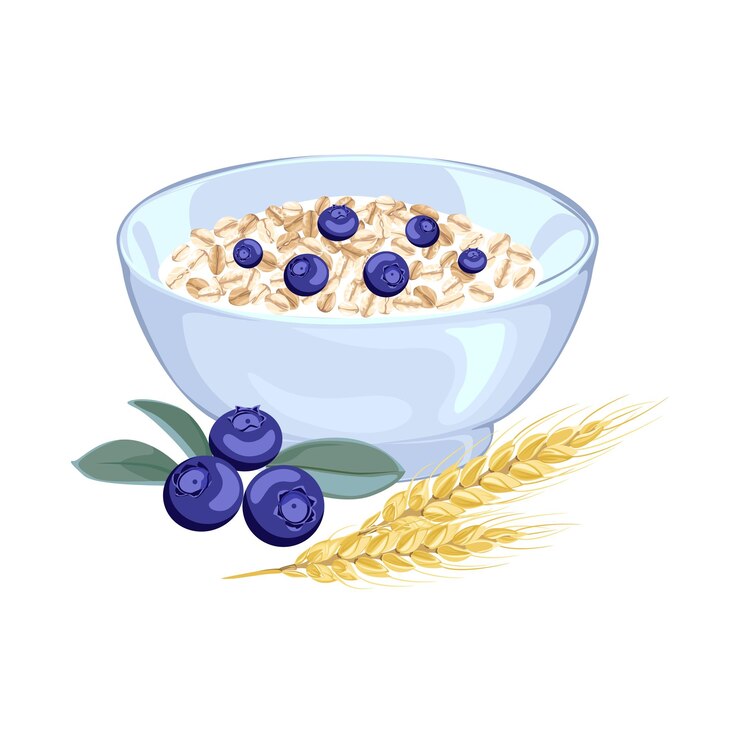 Vektor grainy porridge with blueberry in bowl