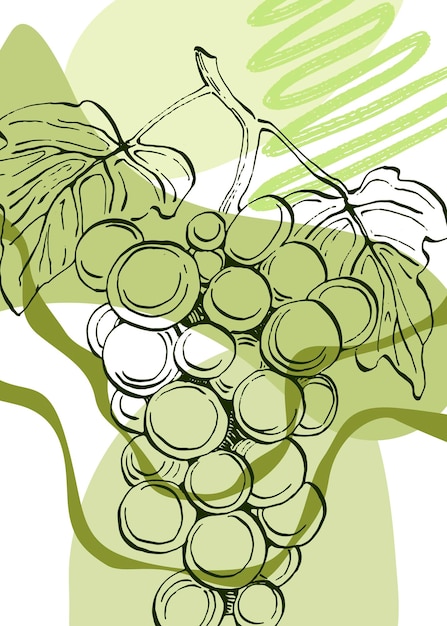 Grape hand Painted Illustrations for Wall Decoration minimalist flower in sketch style