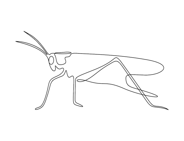 Grasshopper in one continuous line drawing vector illustration