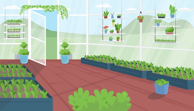greenhouse flat color . vegetable cultivation. urban garden. structure for horticulture. plantation house. agriculture facility 2d cartoon interior with landscape on background