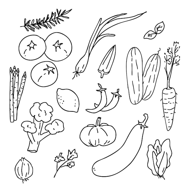 Hand-drawn Vegetable Illustration