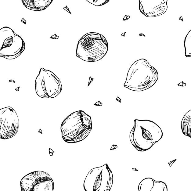 hazelnuts vector seamless pattern hand drawn with ink whole and cut hazelnut kernels