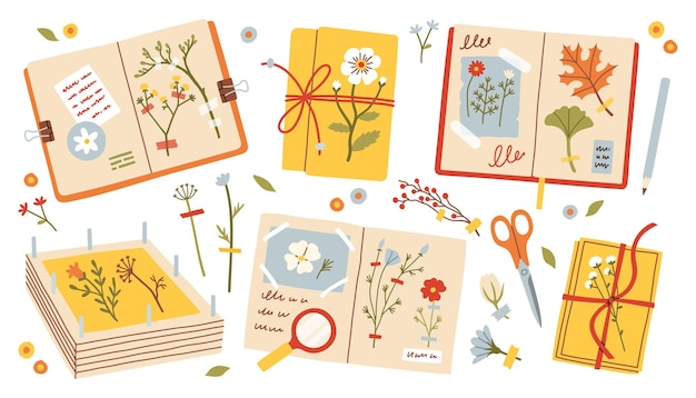 Herbarium set Cozy autumn flowers and leaves set Autumn vector illustration for Fall mood poster