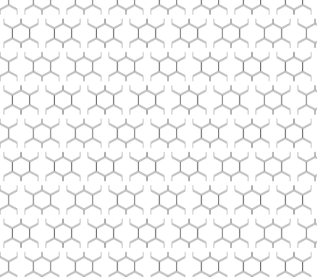 Holycomb white background graphic