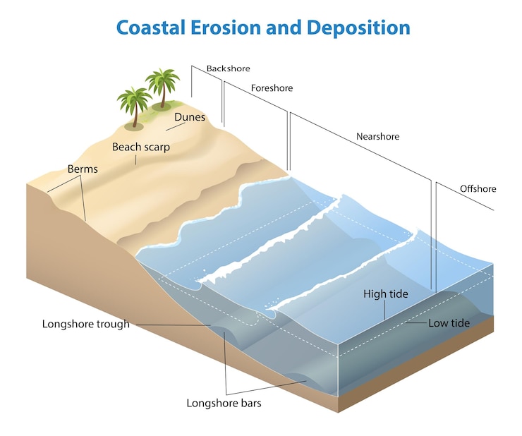 Vektor illustration of coastal erosion and deposition diagram