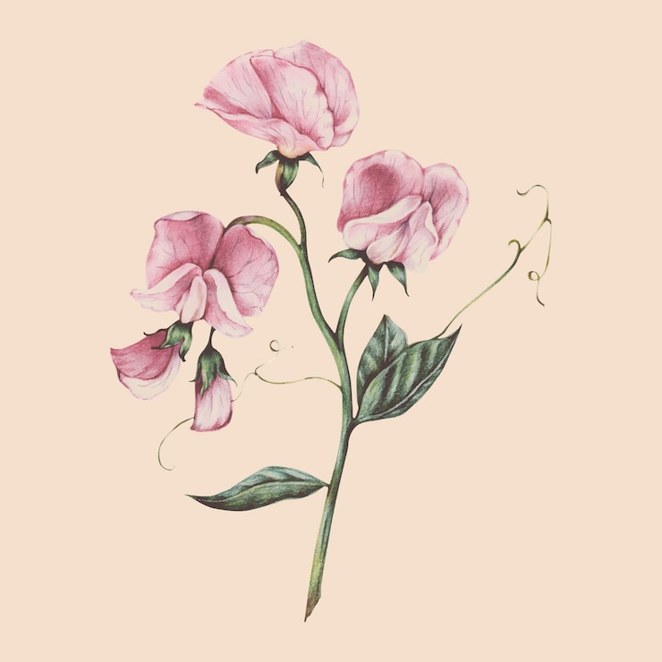 Vektor illustration of flower watercolor style