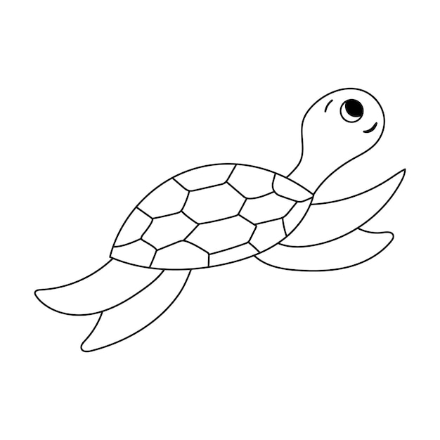 Isolated doodle Sea turtle black and white Outline vector illustration Icon sea animal Ocean dweller