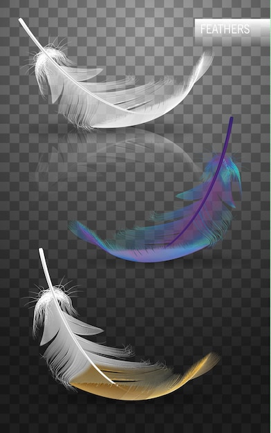 Isolated falling fluffy twirled feathers on transparent background in realistic style vector