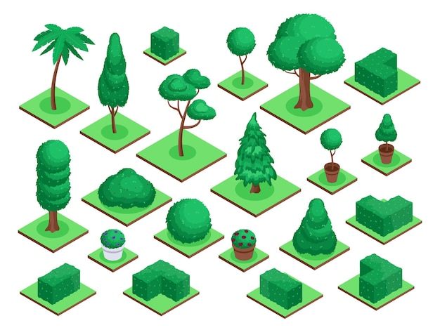 Isometric 3d trees City park or forest plant bush flowers pot Spruce palm tree landscape elements