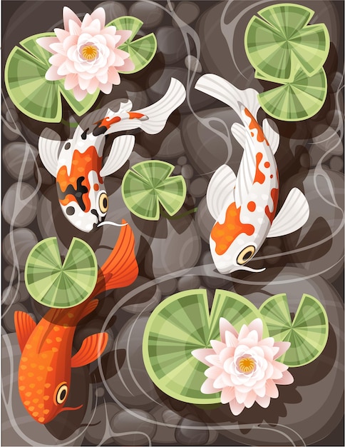 koi carp swimming in a pond with lily lotus with green leaves on transparent water and stone bottom flat vector illustration