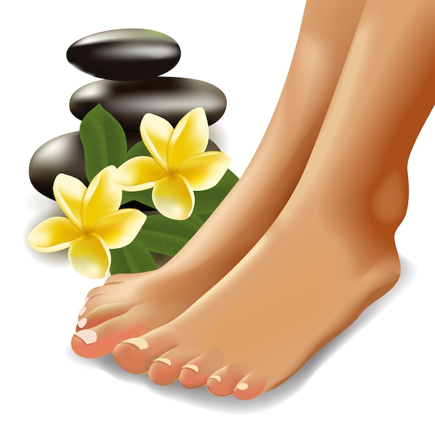 Koncept SPA s realistickým ženskými chodidly, frangipani a kameny. Ilustrace.