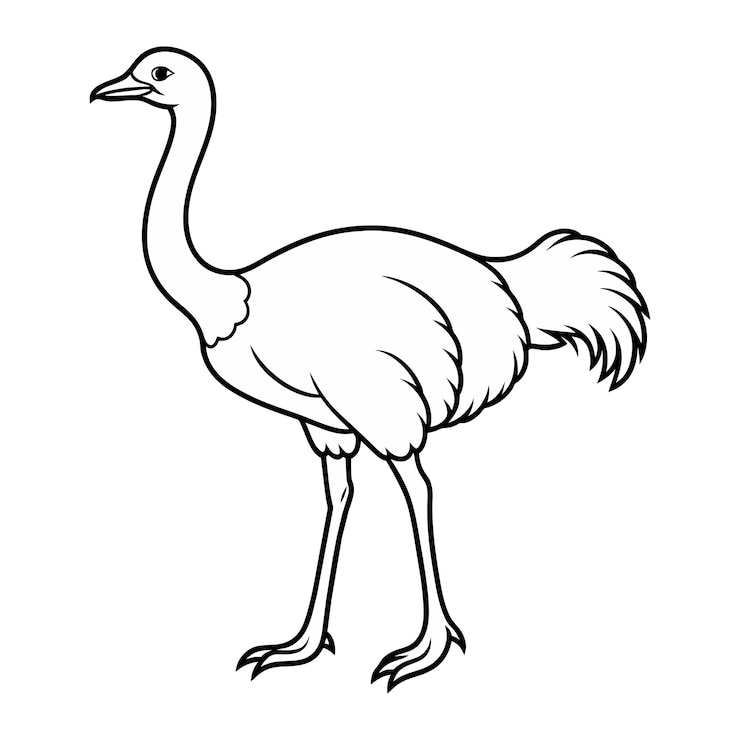 Vektor kreslené omalovánky s ilustrací pštrosa