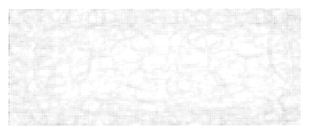 Light grunge halftone background with dots Horizontal monochrome abstract poster pop art vector