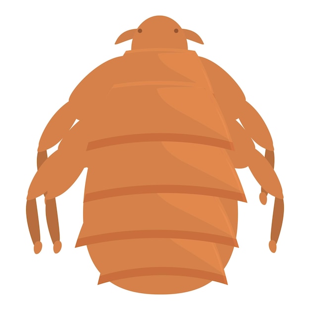 louse insect spreading infection through bite on skin