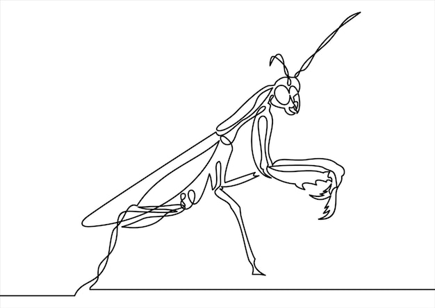 Mantis iconcontinuous line vector drawing
