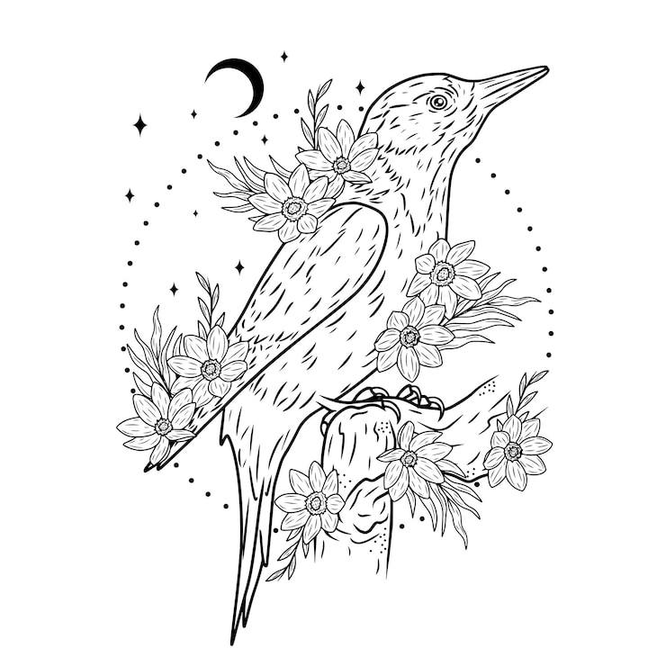 Vektor minimalistic art woodpecker with flowers abstract background vector art