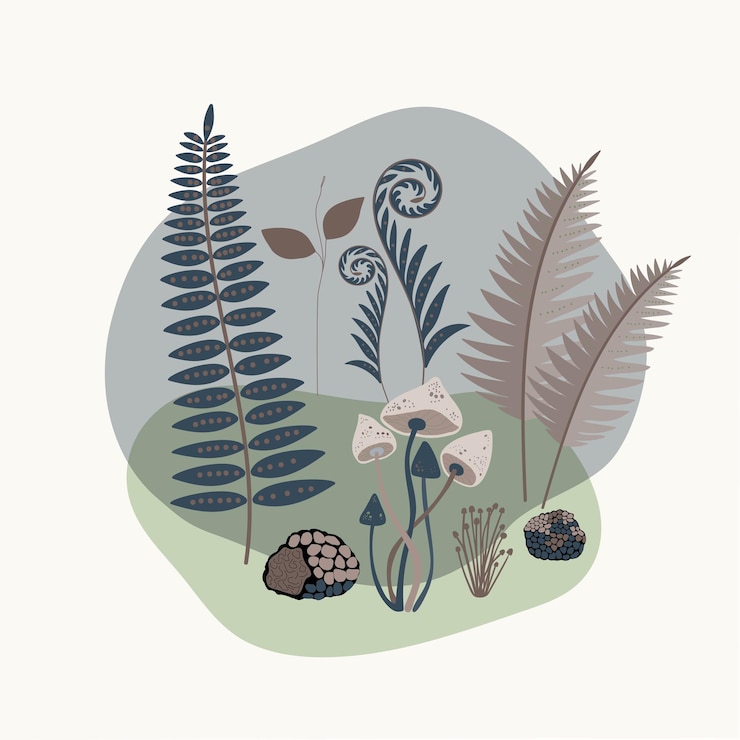 Vektor minimalistic drawing of a forest mushroom fern plants  isolated brown color white background