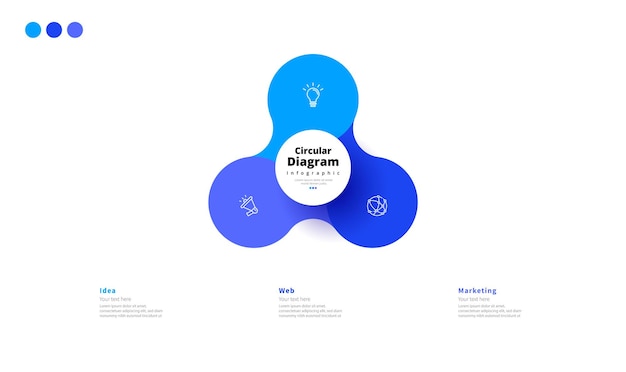 modern minimalist elegant clean circular 3 steps editable infographic design template vector